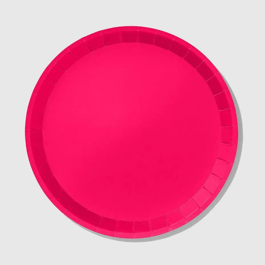 Hot Pink Plates- Large