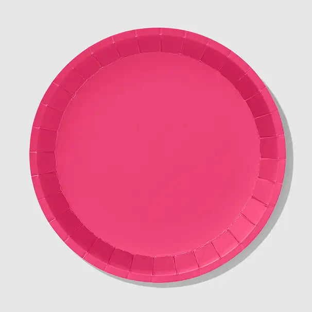 Hot Pink Plates- Small